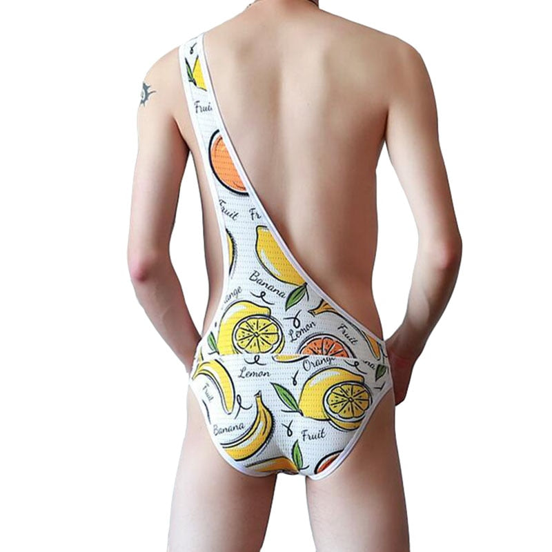 Mesh Gay Leotard Underwear