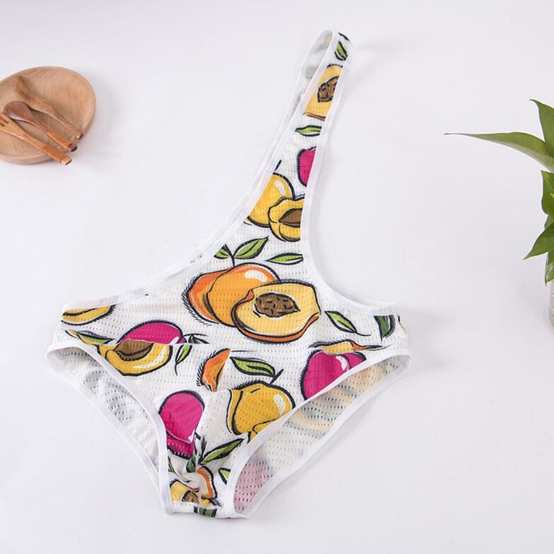 Mesh Gay Leotard Underwear