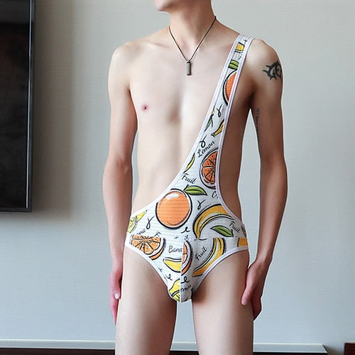 Mesh Gay Leotard Underwear