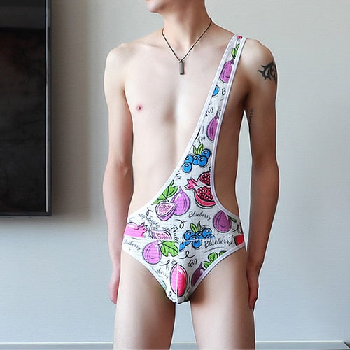 Mesh Gay Leotard Underwear