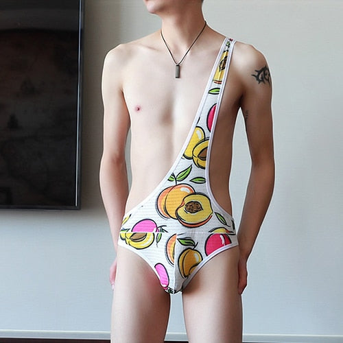 Mesh Gay Leotard Underwear