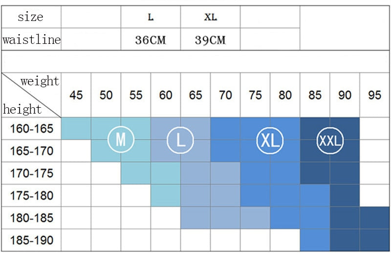 Mesh Gay Leotard Underwear