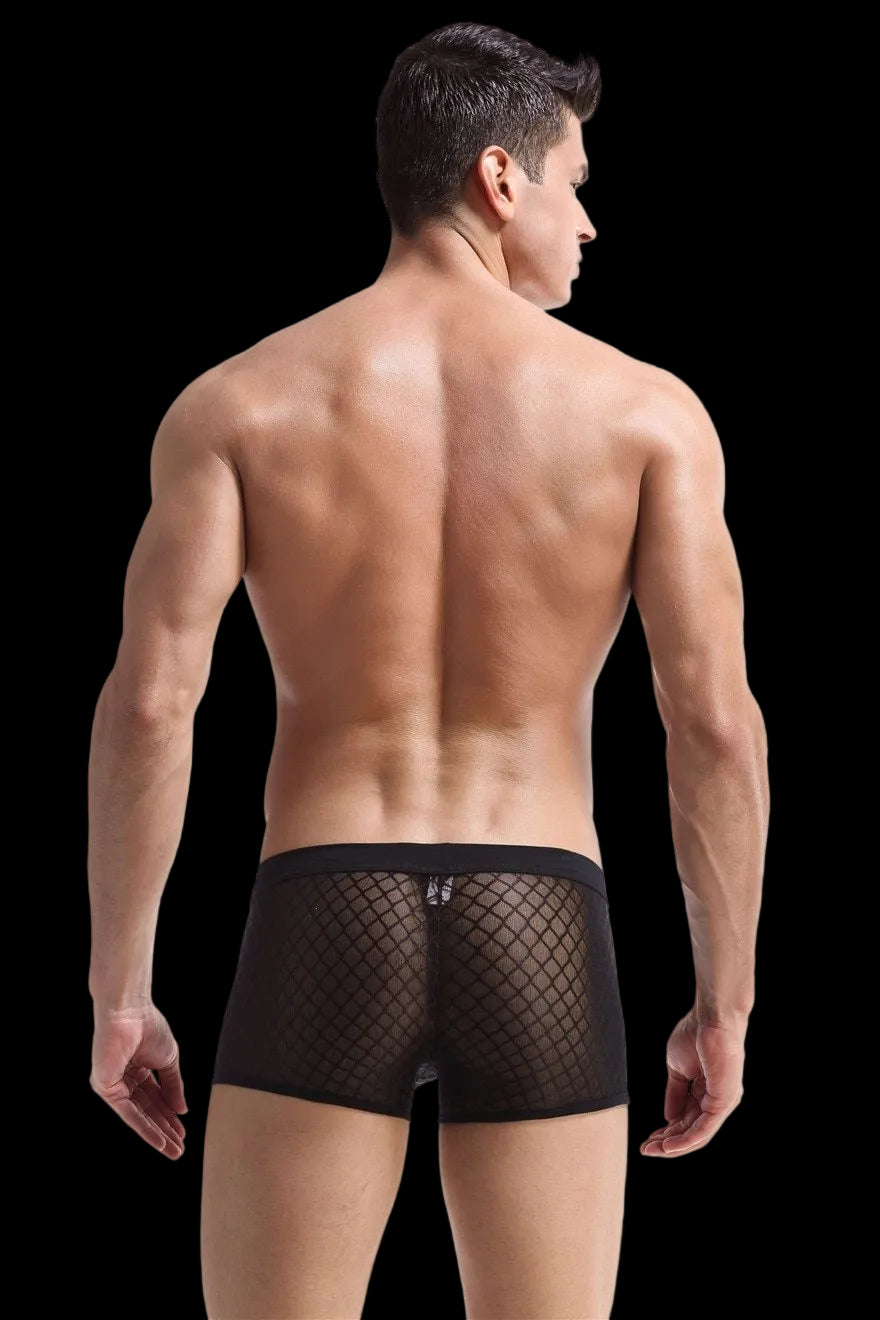 Transparent Mesh Boxers