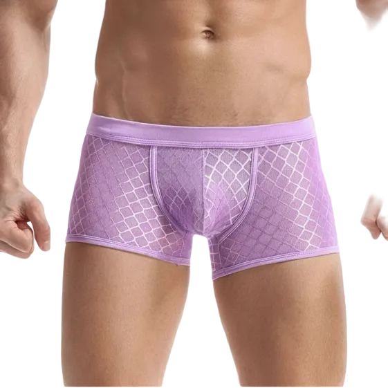 Transparent Mesh Boxers