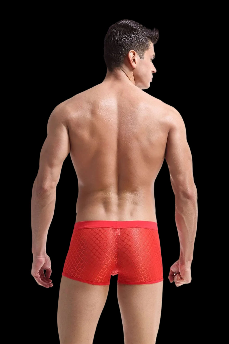 Transparent Mesh Boxers
