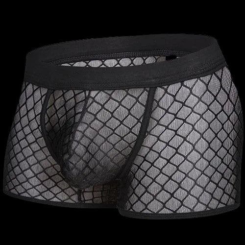 Transparent Mesh Boxers