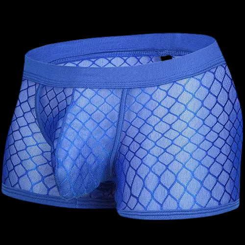 Transparent Mesh Boxers