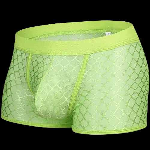 Transparent Mesh Boxers