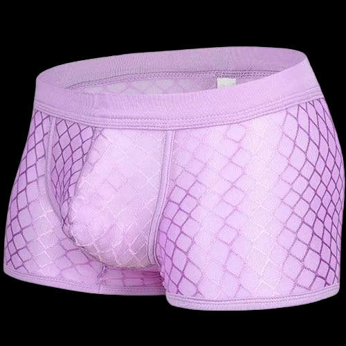 Transparent Mesh Boxers