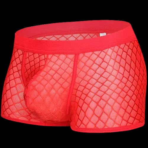 Transparent Mesh Boxers