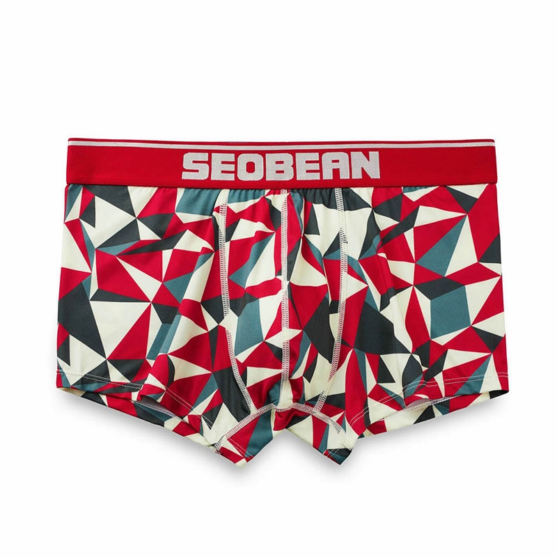 Seobean Geometric Boxers