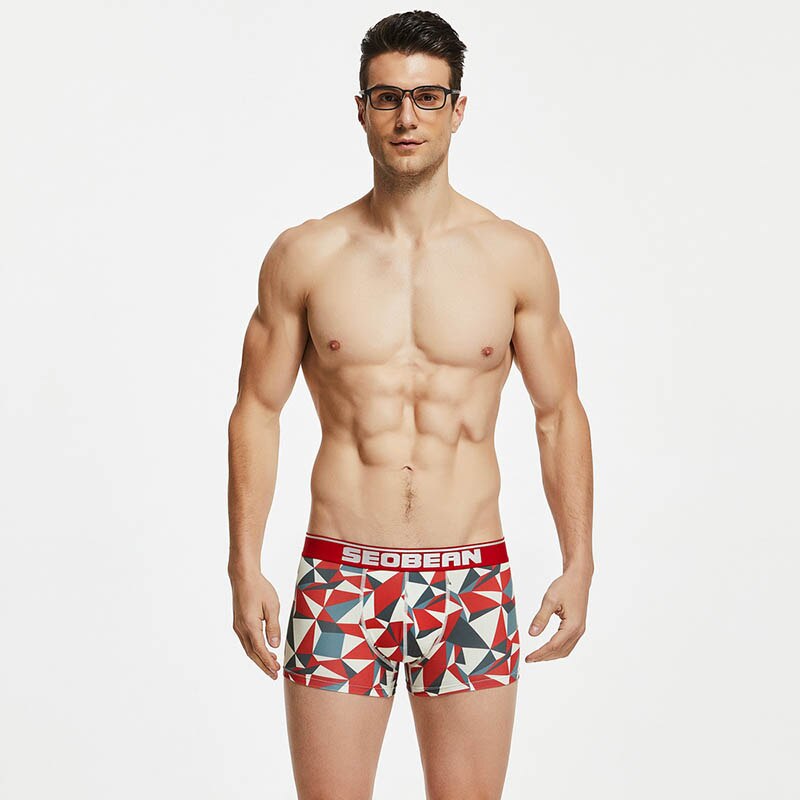 Seobean Geometric Boxers