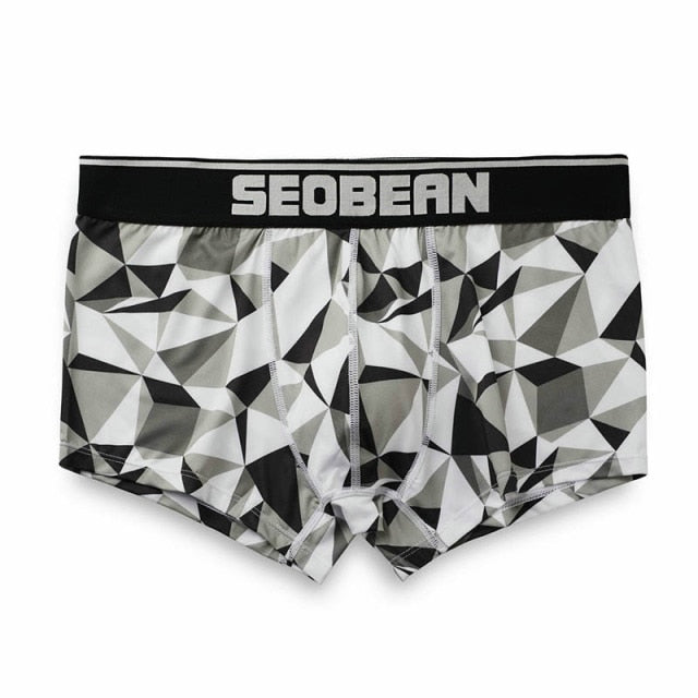 Seobean Geometric Boxers