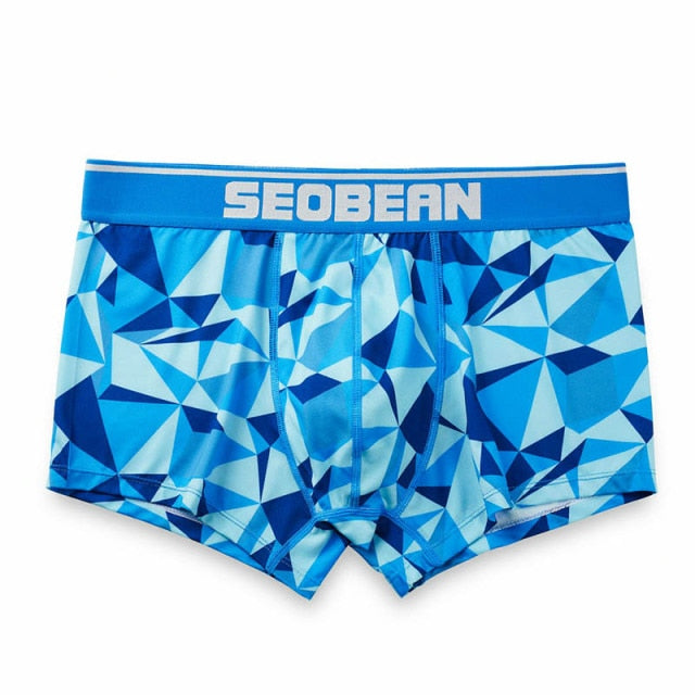 Seobean Geometric Boxers