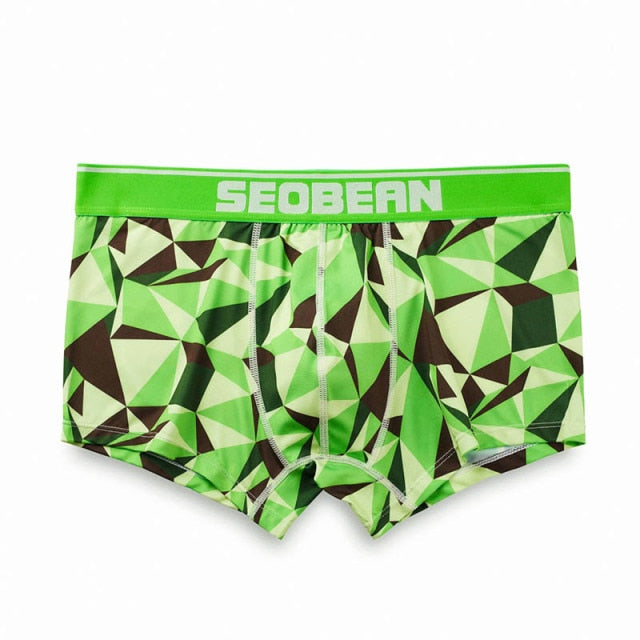 Seobean Geometric Boxers