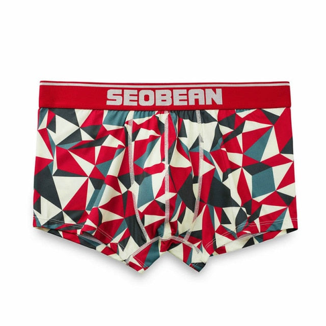 Seobean Geometric Boxers