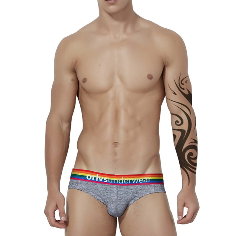 ORLVS Pride Briefs (4 Pack)