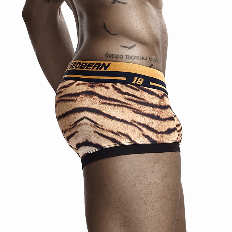 Seobean Tiger Boxers