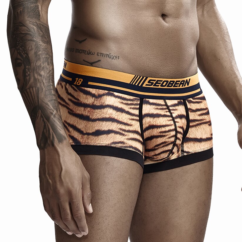 Seobean Tiger Boxers