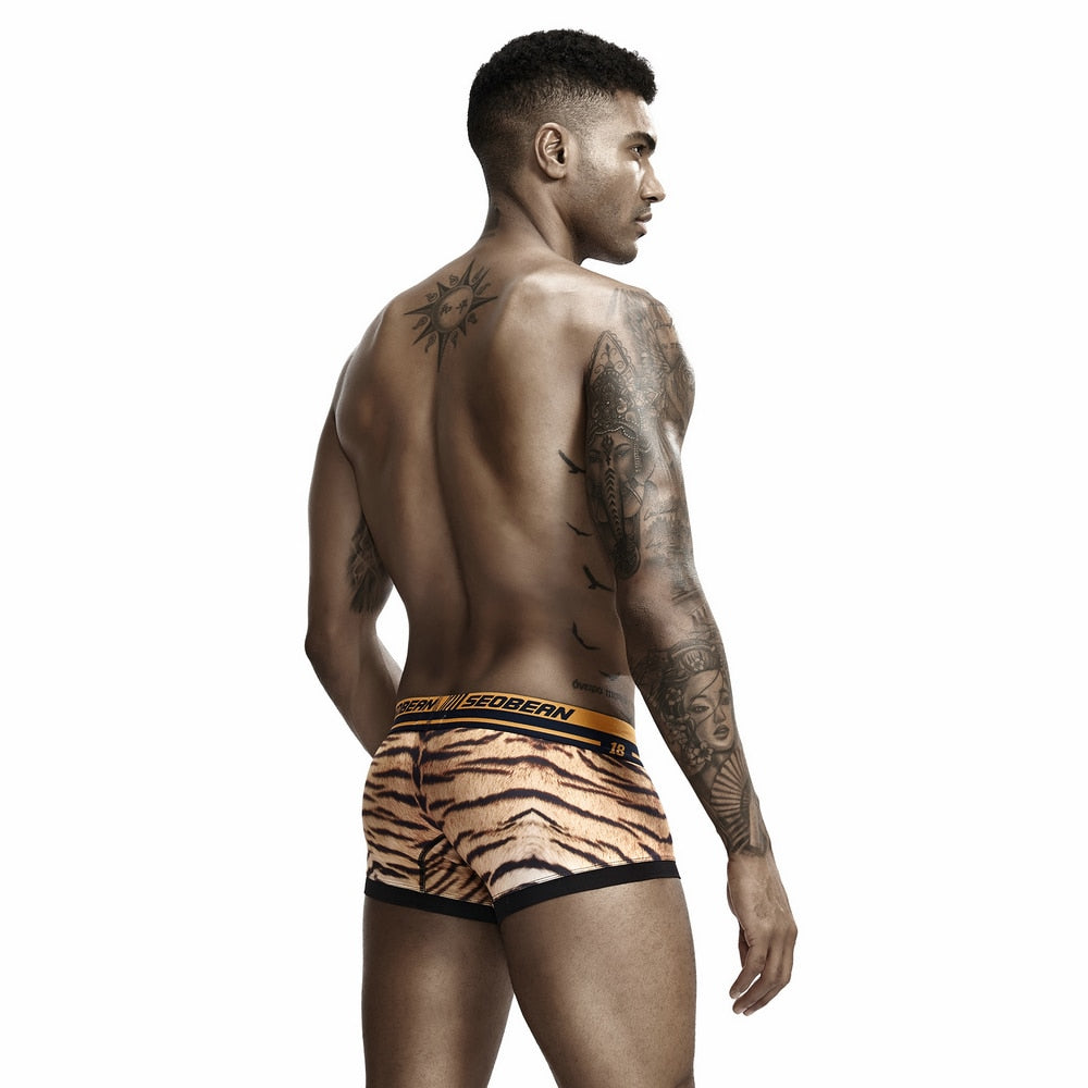 Seobean Tiger Boxers