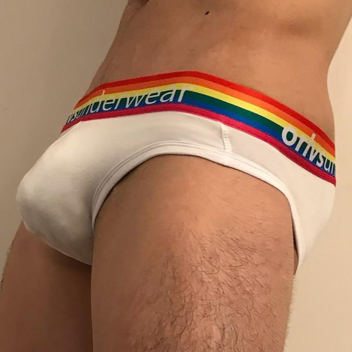 ORLVS Pride Briefs