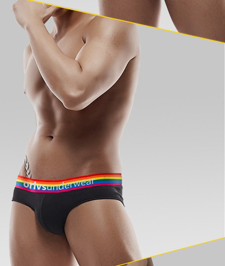 ORLVS Pride Briefs