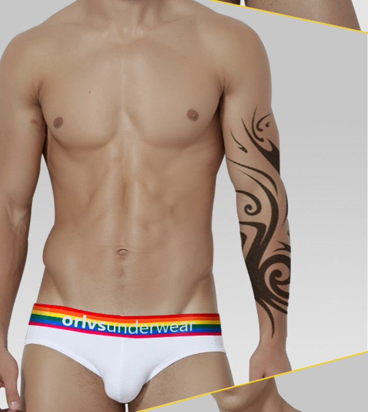 ORLVS Pride Briefs