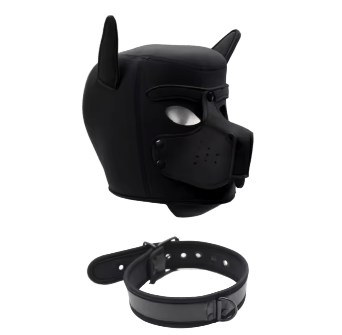 Pup Starter Kit Purple - The Pup Play Hub