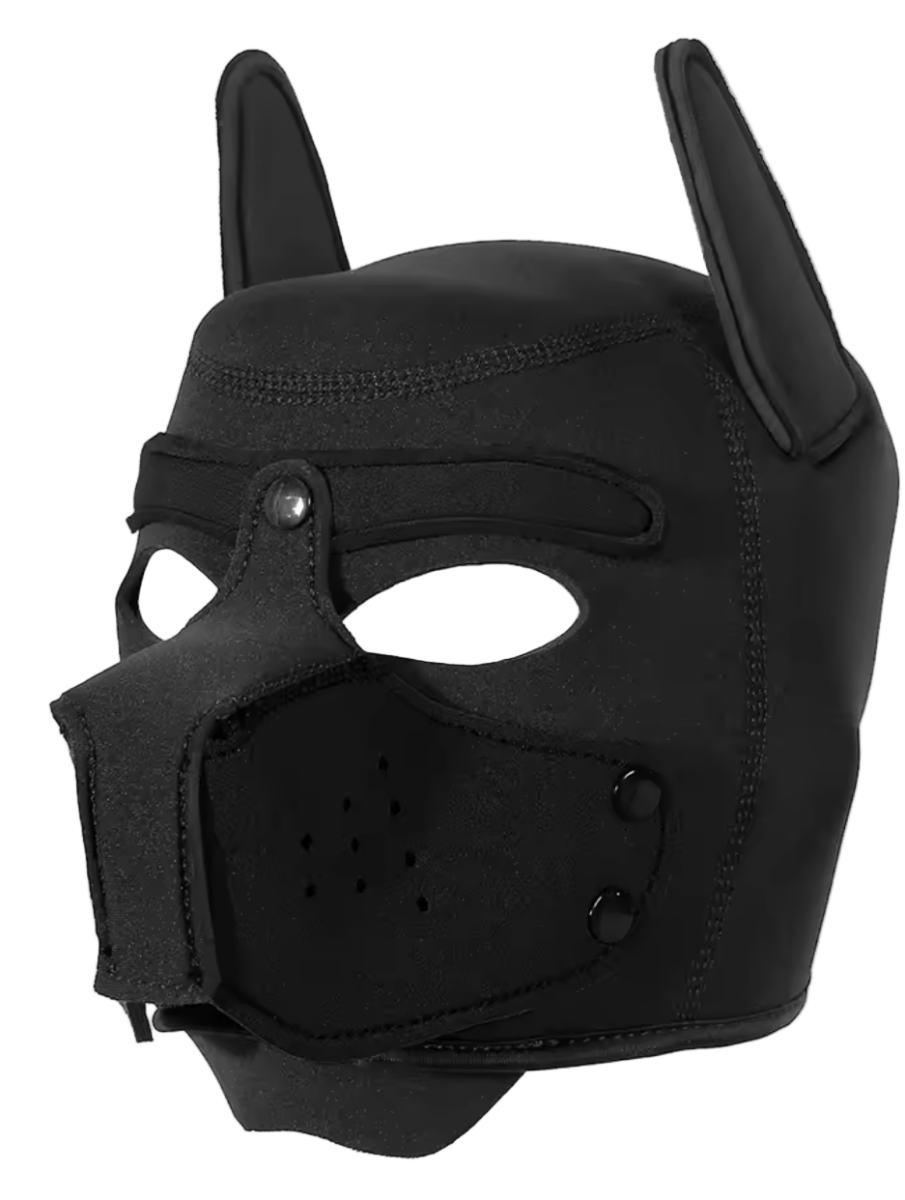 Puppies First Hood Black - The Pup Play Hub