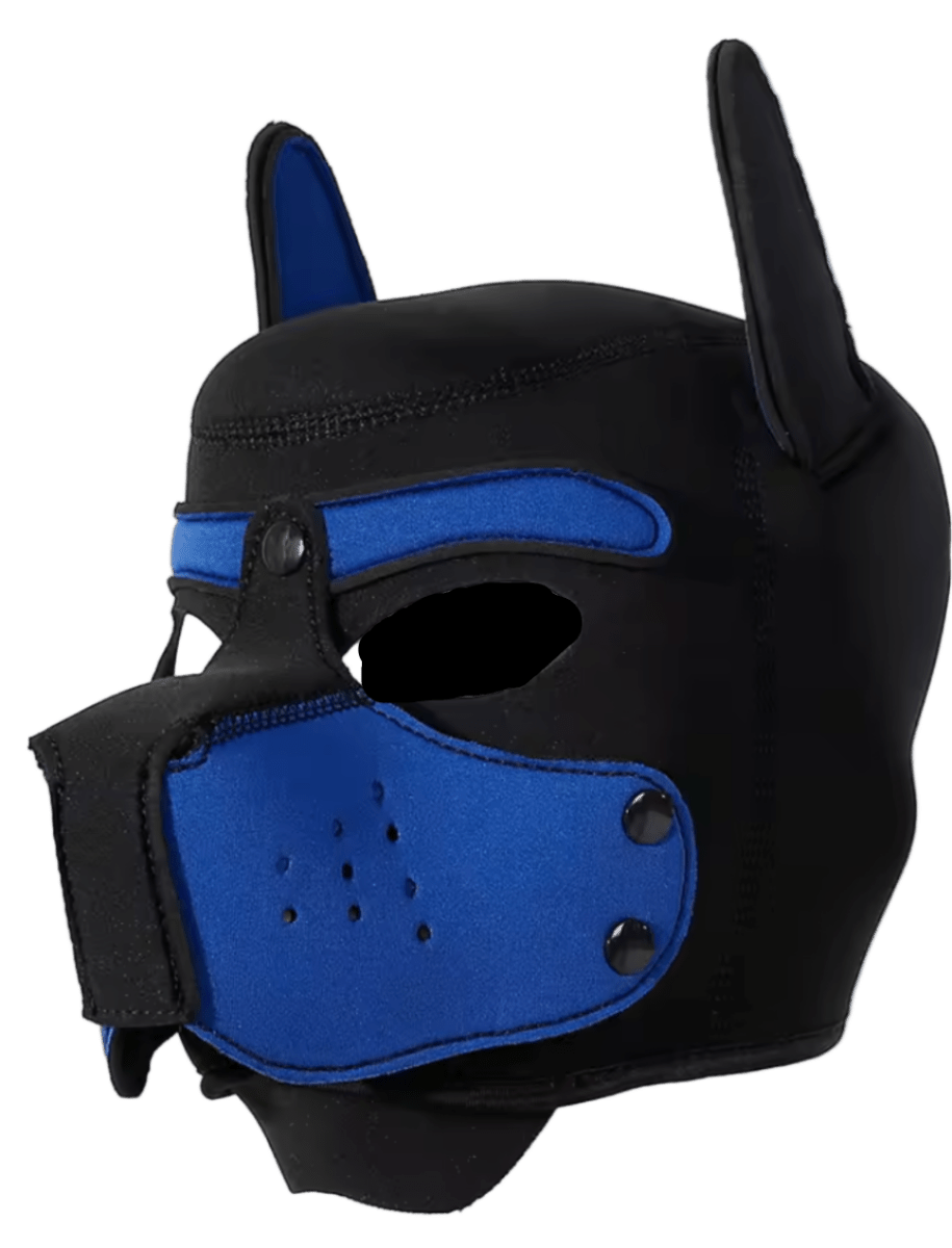 Puppies First Hood Blue - The Pup Play Hub
