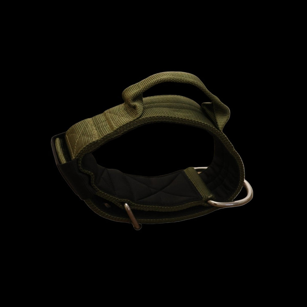 Pure Dog K9 Sport Collar Khaki - The Pup Play Hub