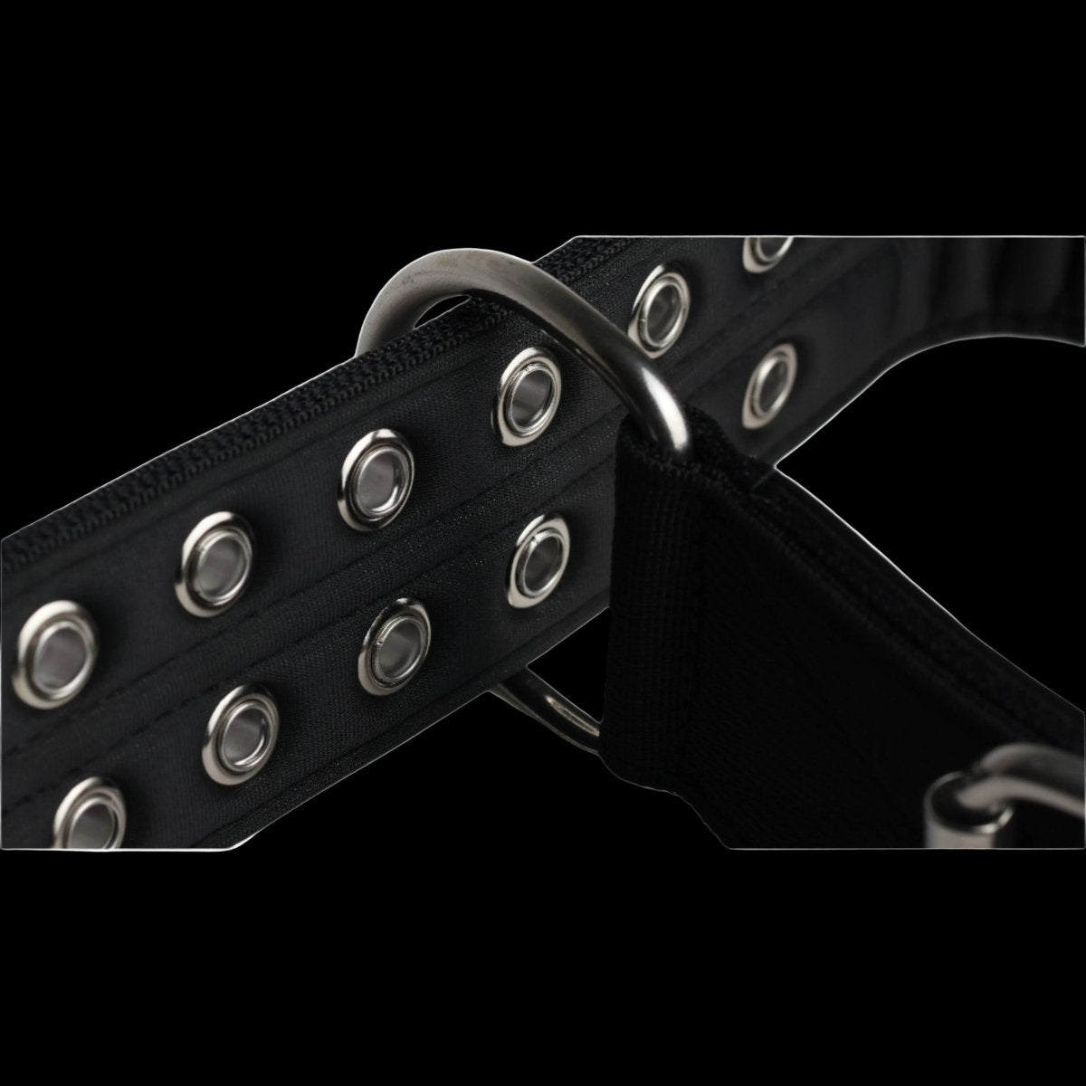 Pure Dog k9 Sports Collar Black - The Pup Play Hub