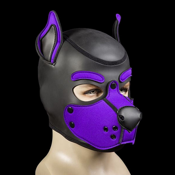 Mr S Leather Neoprene K9 Puppy Hood | Black/Purple