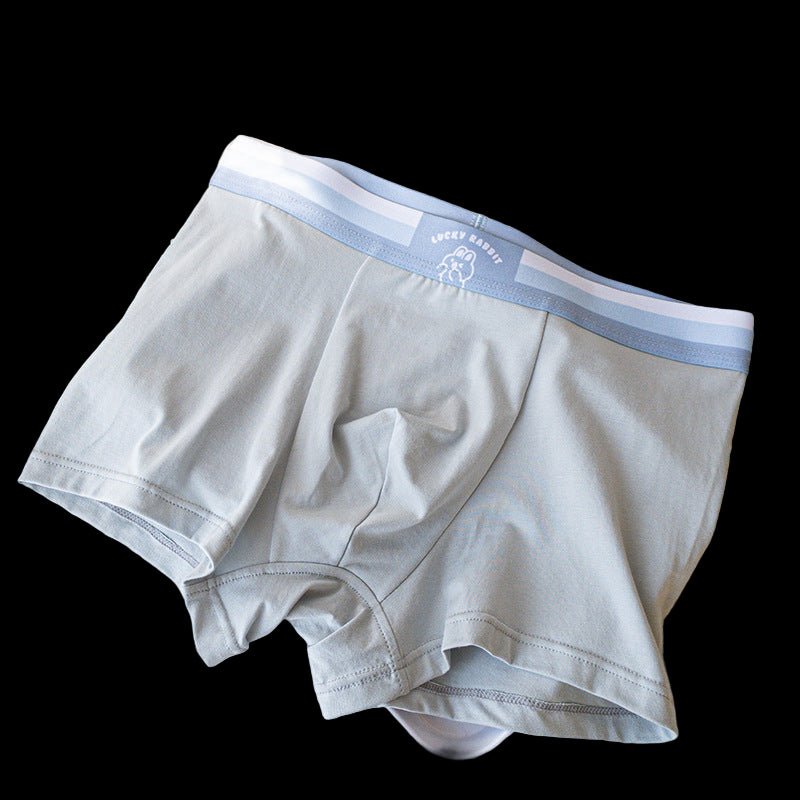 Rabbit Modal Cotton Boxers - The Pup Play Hub