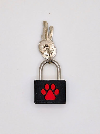 Small Padlock & Cover – Custom Kink Collar Lock, Keyed Alike Options, Glow & Pride Styles