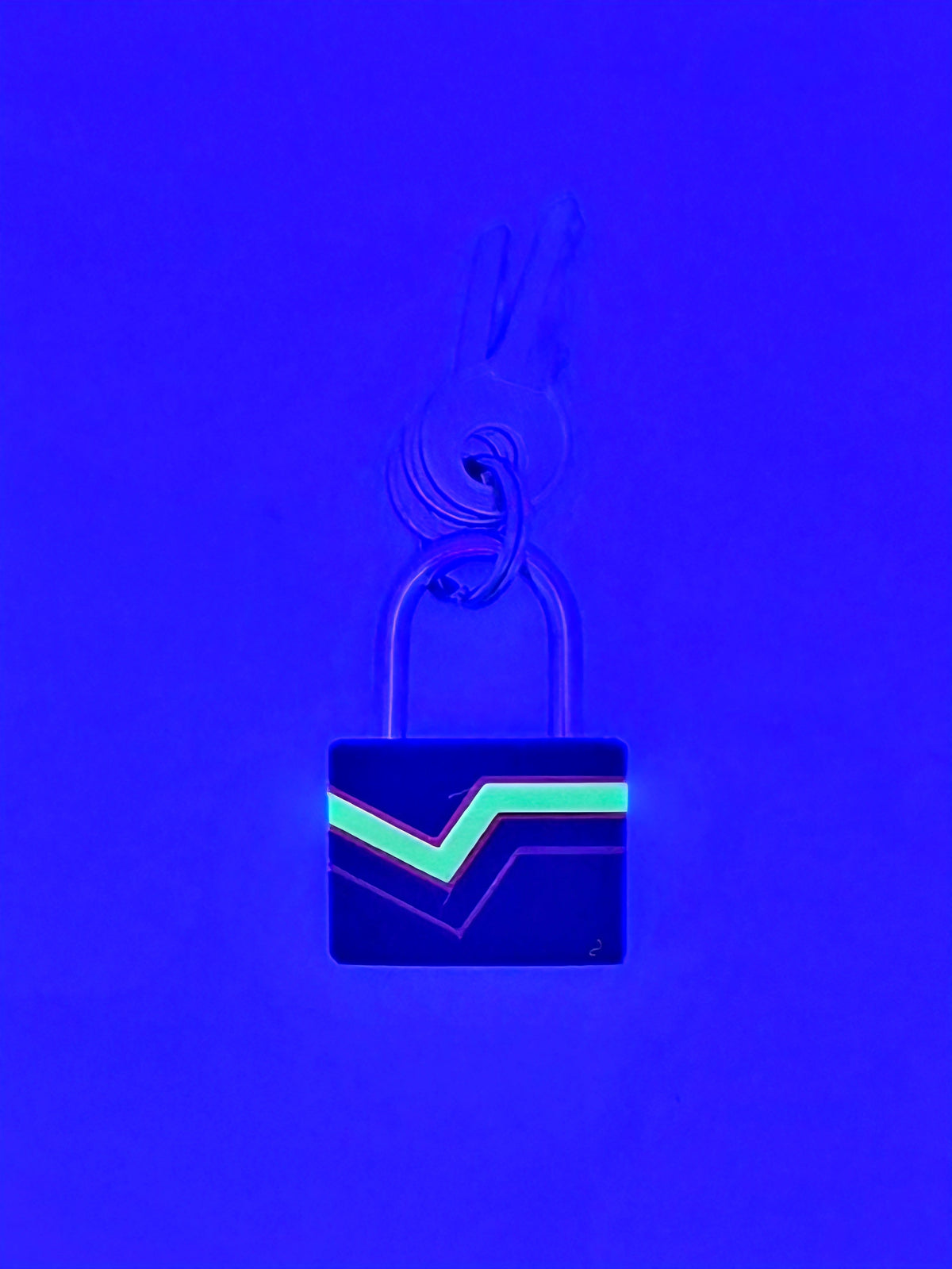 Small Padlock & Cover – Custom Kink Collar Lock, Keyed Alike Options, Glow & Pride Styles