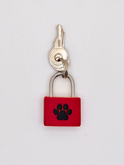 Small Padlock & Cover – Custom Kink Collar Lock, Keyed Alike Options, Glow & Pride Styles