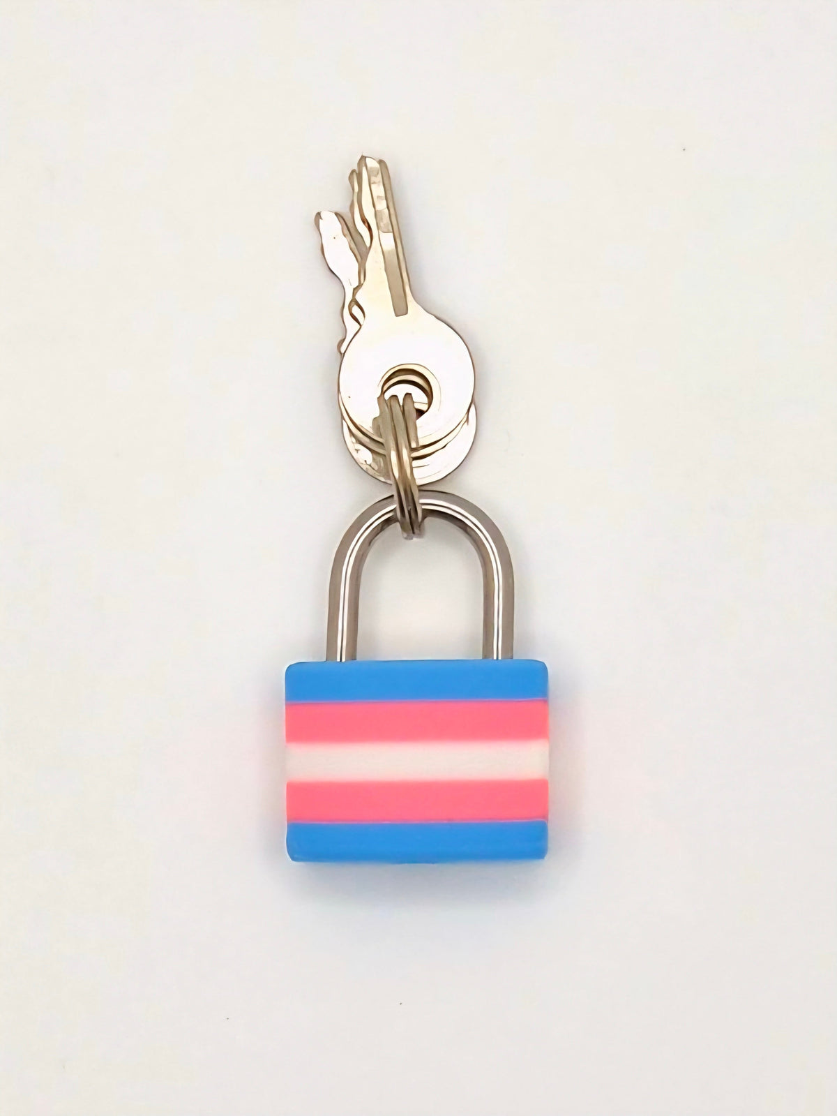 Small Padlock & Cover – Custom Kink Collar Lock, Keyed Alike Options, Glow & Pride Styles