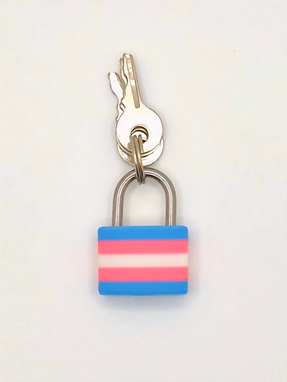 Small Padlock & Cover – Custom Kink Collar Lock, Keyed Alike Options, Glow & Pride Styles