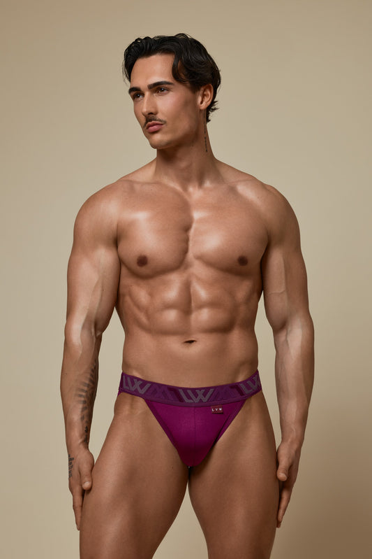 VISIBLY SPORT BRIEF RENEW SHINE - DEEP PLUM