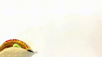 Taco Plush Dog Toy