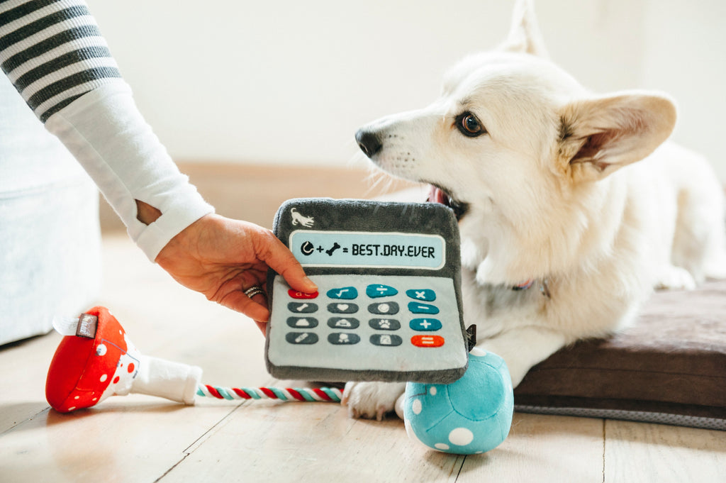 Back To School Doggie Digits Calculator Plush Dog Toy