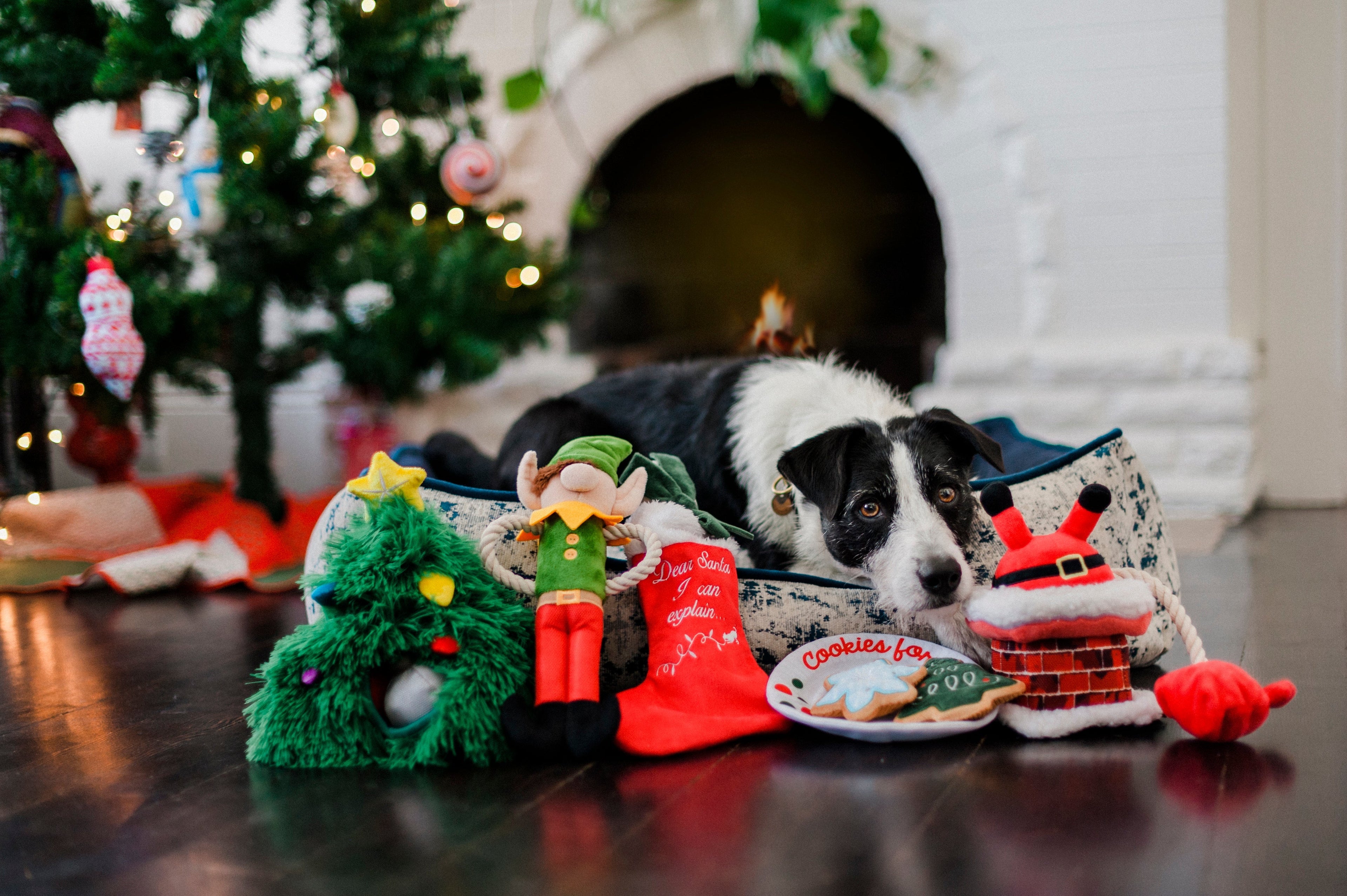 Merry Woofmas Good Dog Stocking & Bone 2 Piece Set