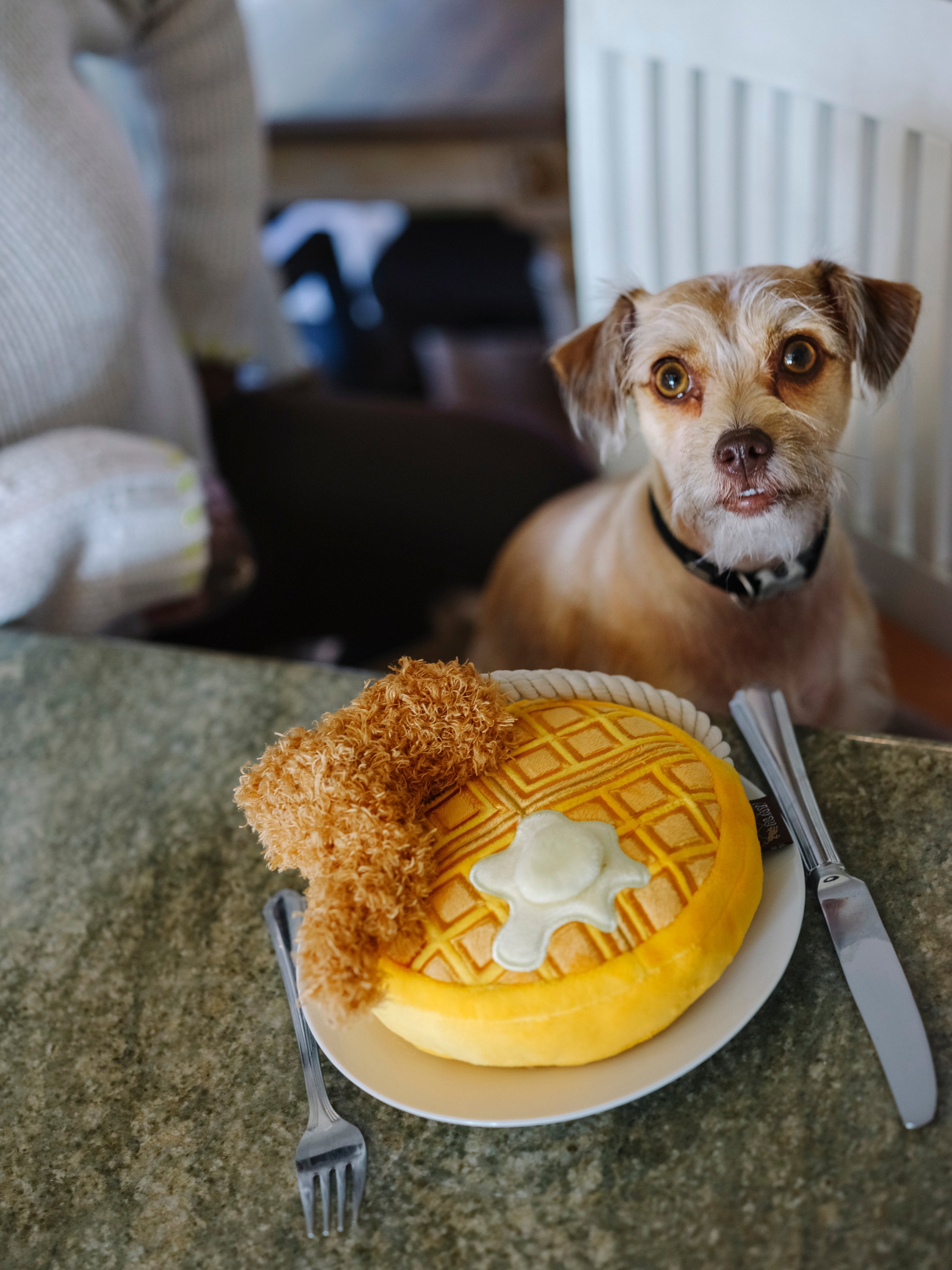 Barking Brunch Chicken & Wooffles Plush Dog Toy