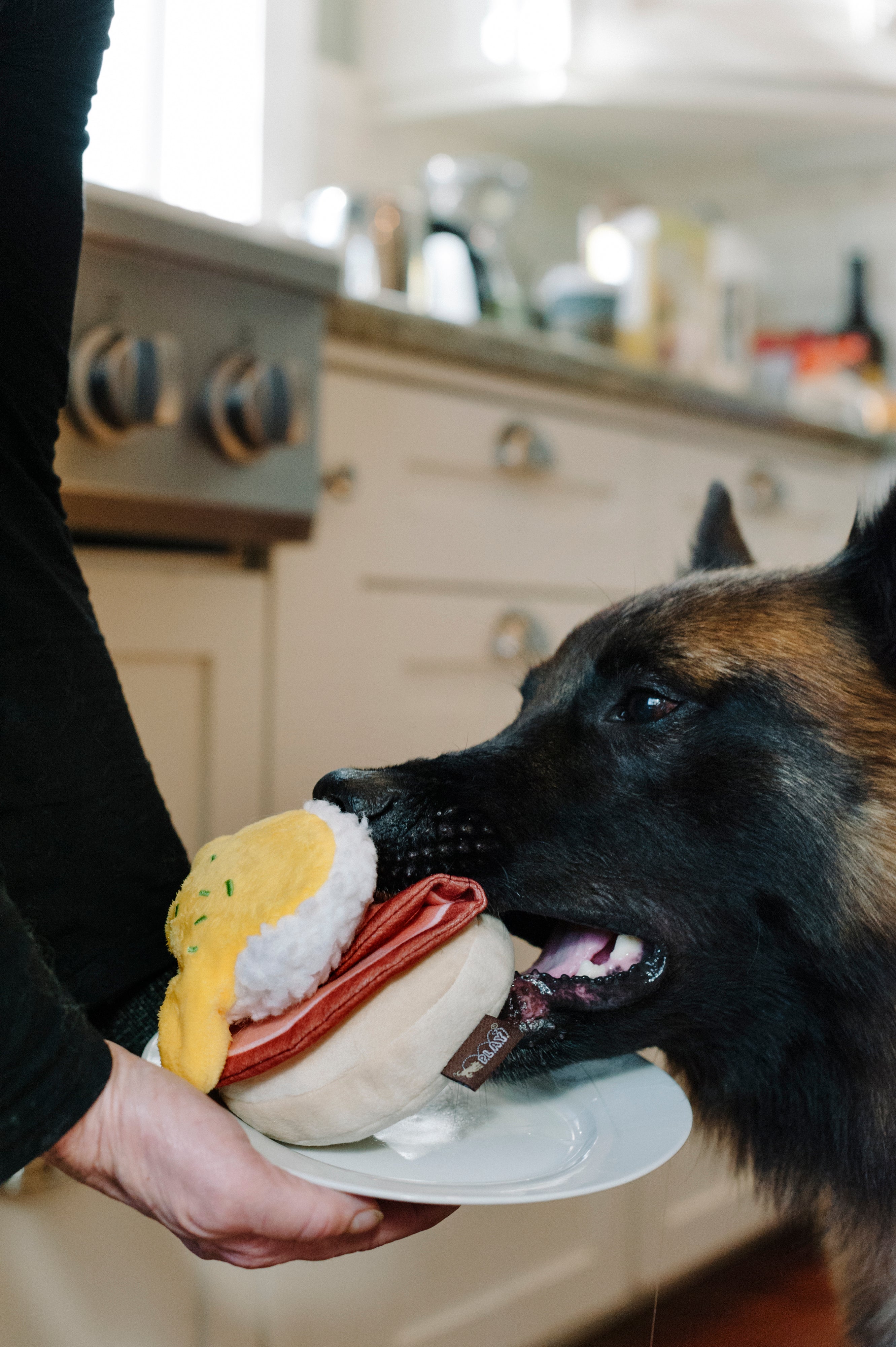 Barking Brunch Bennys Benedict Plush Dog Toy