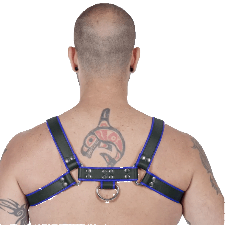 Titus H - Front Leather Chest Harness | Black & Blue - The Pup Play Hub