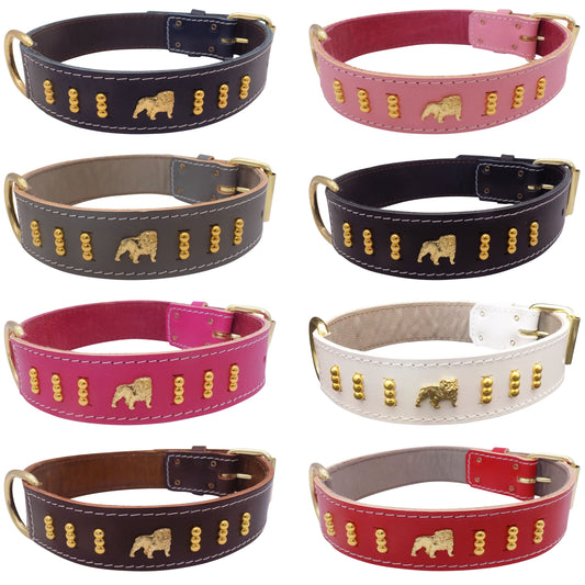 1.5" wide Leather Dog Collar with Unique Gold Design and English Bulldog Badges Style-4