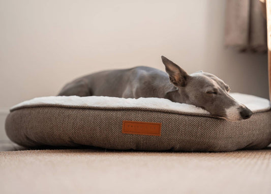 THE LINCOLN  | LUXURY DONUT BED