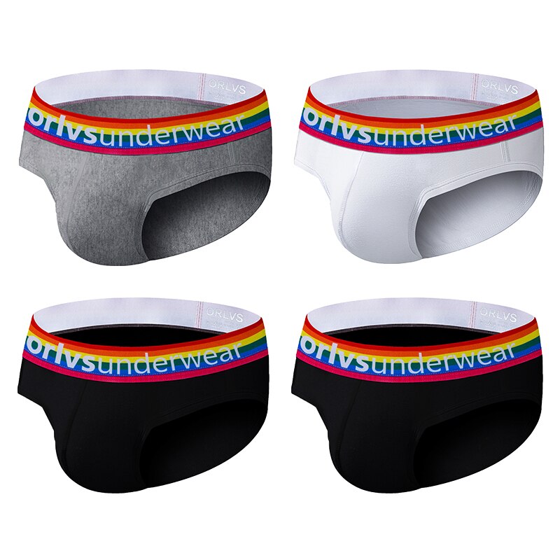 ORLVS Pride Briefs (4 Pack)